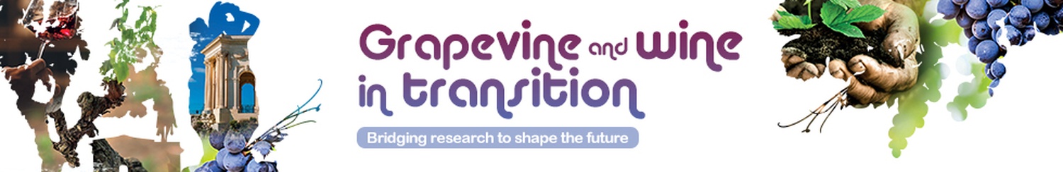 Grapevine and wine in transition: bridging research to shape the future>