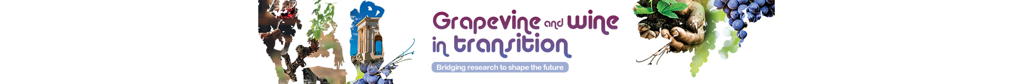 Grapevine and wine in transition: bridging research to shape the future>